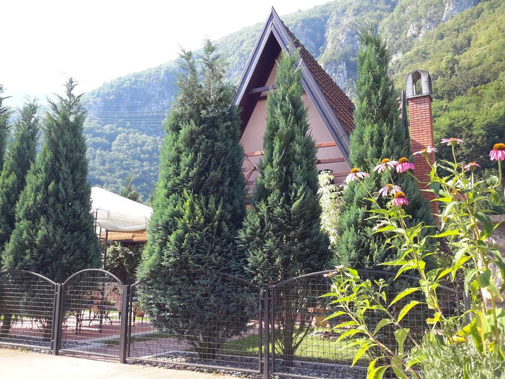 פרוצ'ץ Viola I Detelina Apartments מראה חיצוני תמונה