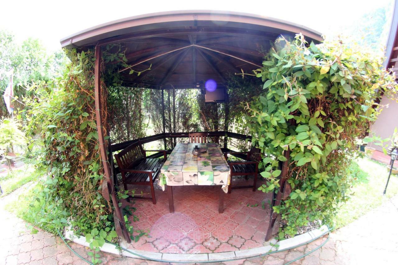 פרוצ'ץ Viola I Detelina Apartments מראה חיצוני תמונה