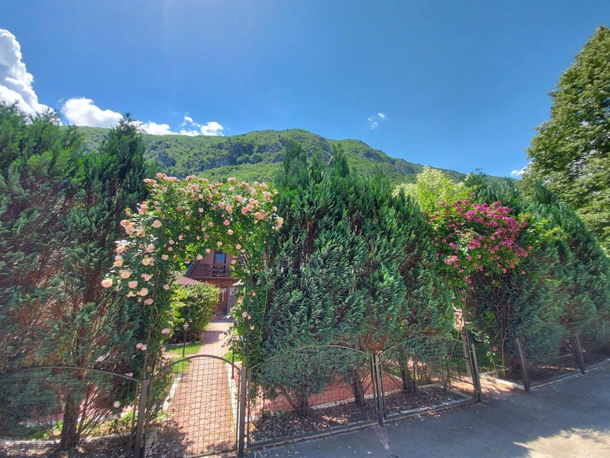 פרוצ'ץ Viola I Detelina Apartments מראה חיצוני תמונה
