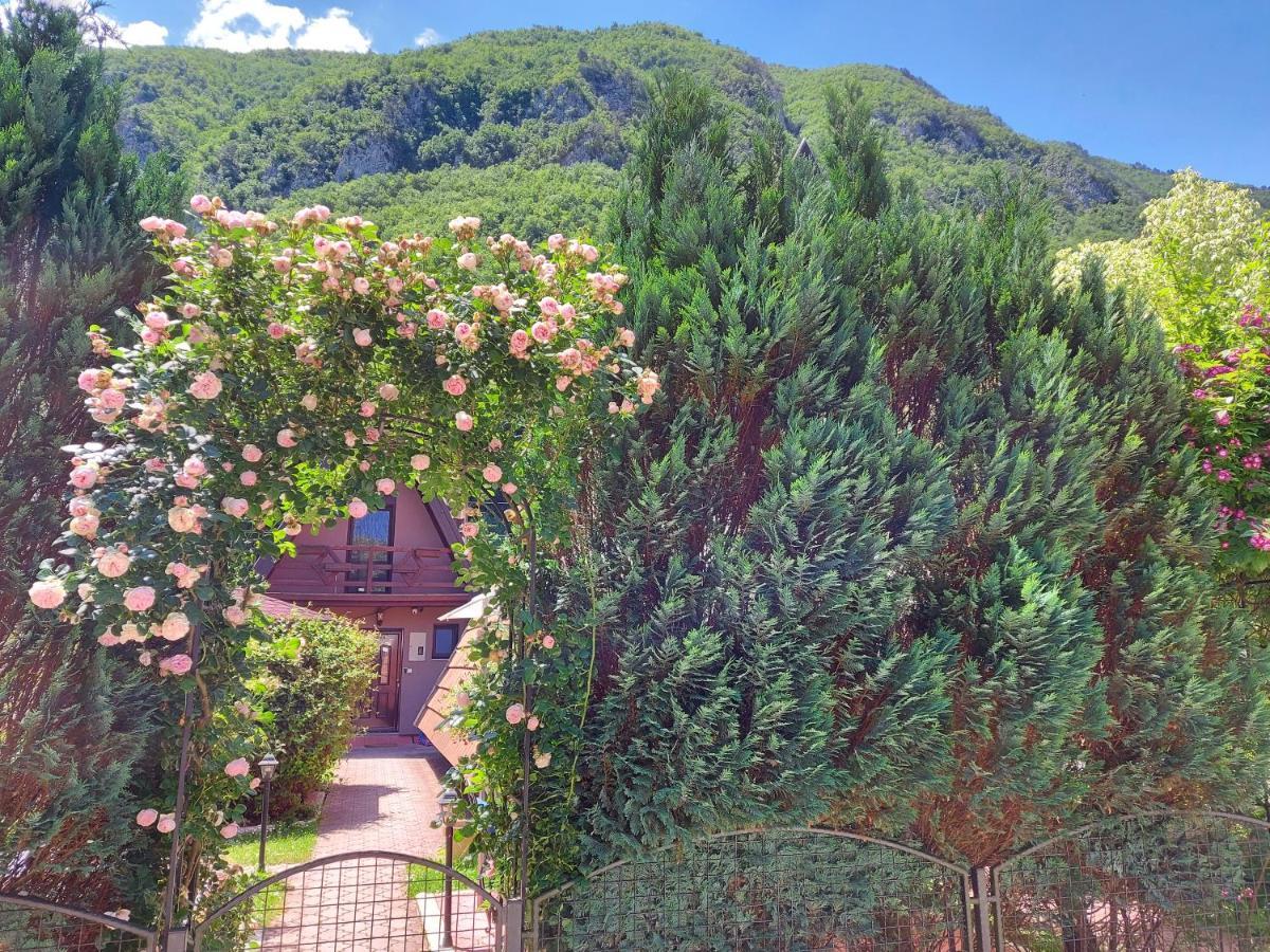 פרוצ'ץ Viola I Detelina Apartments מראה חיצוני תמונה
